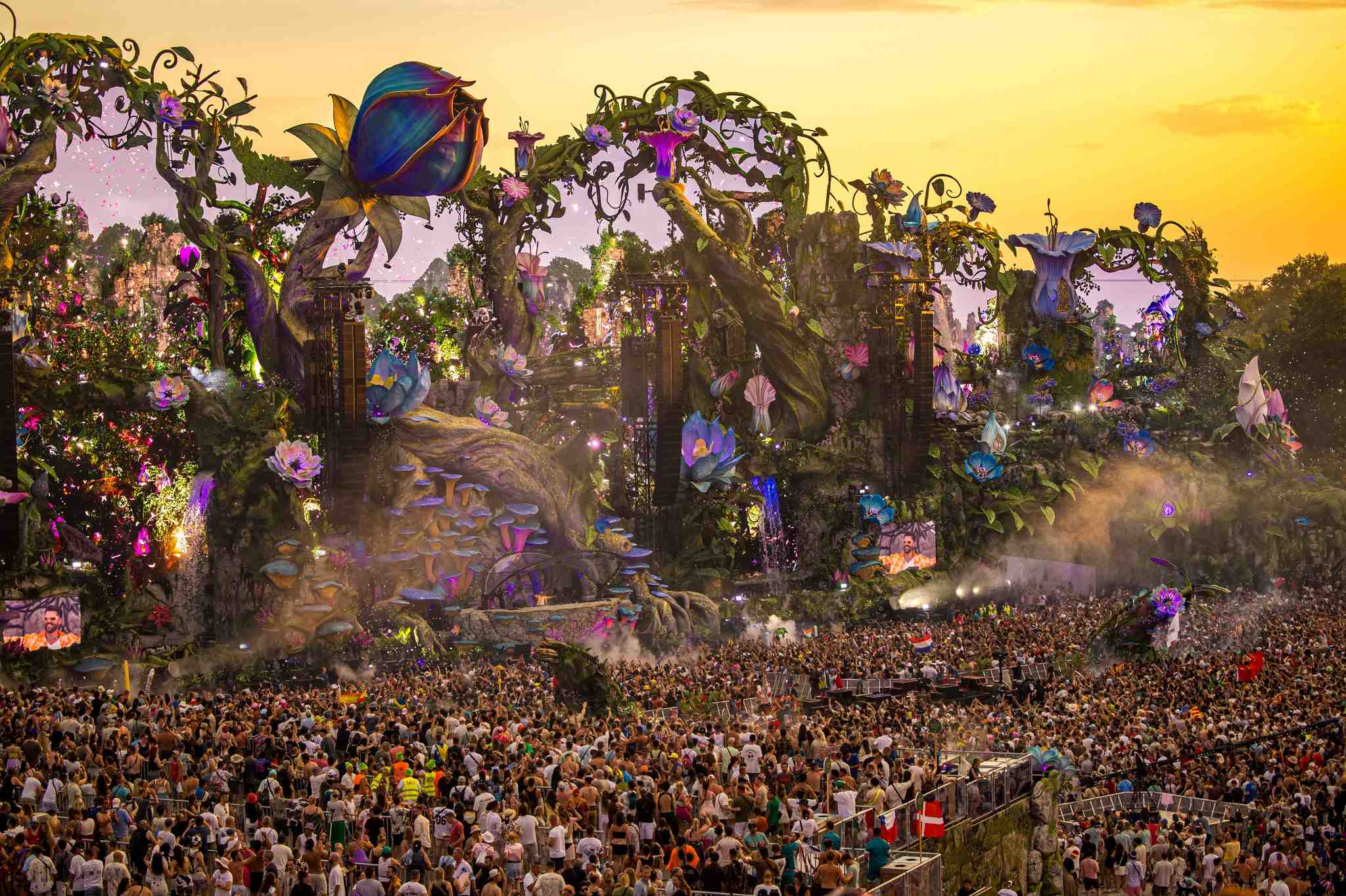 Tomorrowland Mainstage catches on fire
